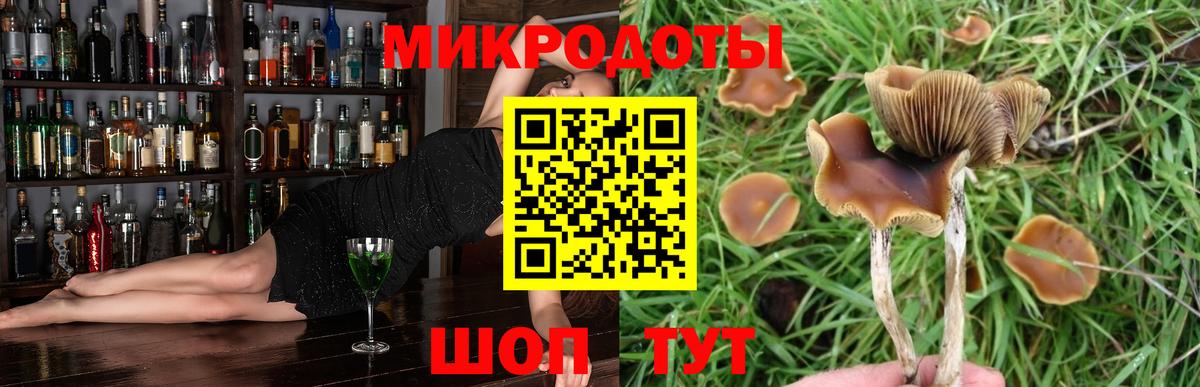 Псилоцибиновые грибы Magic Shrooms  Вход с VPN  Краснознаменск 